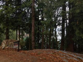 Photo 6: 1504 TIDEVIEW Road in Gibsons: Gibsons & Area Land for sale (Sunshine Coast) : MLS®# R2639626